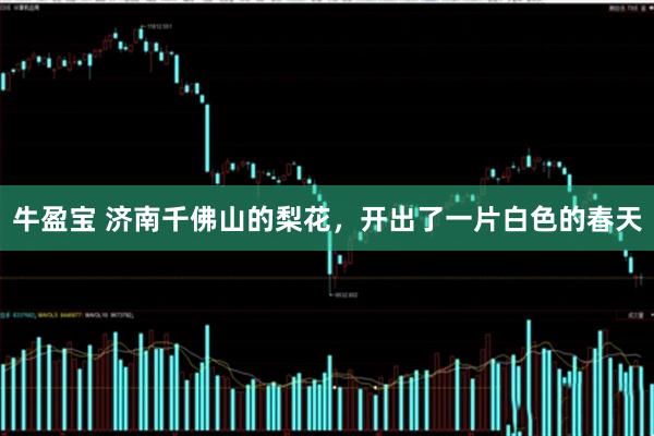 牛盈宝 济南千佛山的梨花，开出了一片白色的春天