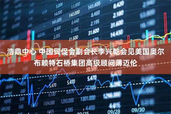 浩鼎中心 中国贸促会副会长李兴乾会见美国奥尔布赖特石桥集团高级顾问薄迈伦