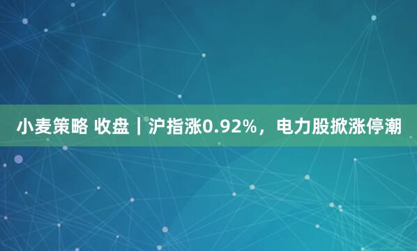小麦策略 收盘｜沪指涨0.92%，电力股掀涨停潮