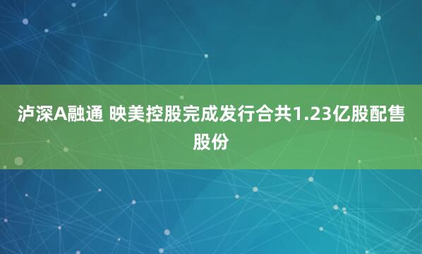泸深A融通 映美控股完成发行合共1.23亿股配售股份